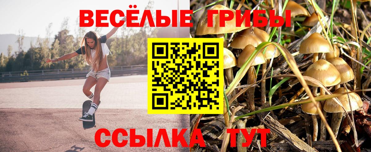Ефремов  Псилоцибиновые грибы Magic Shrooms  Вход с VPN 